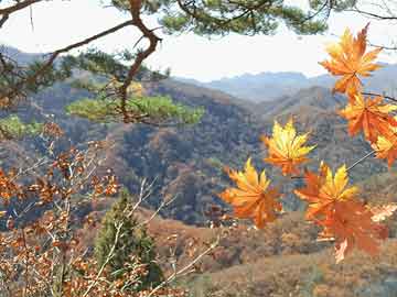 兰格报道：节后钢市未出方向 注意防范后期风险